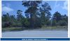 13350 US Hwy 1 photo